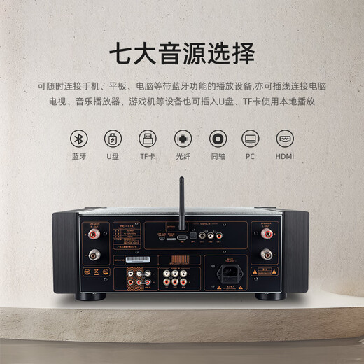 天逸(Winner)AD-86D多功能超甲类家用功放机大功率发烧级HiFi功放音响套装2.0高保真数字功放 天逸AD-86D +Bronze 铜100