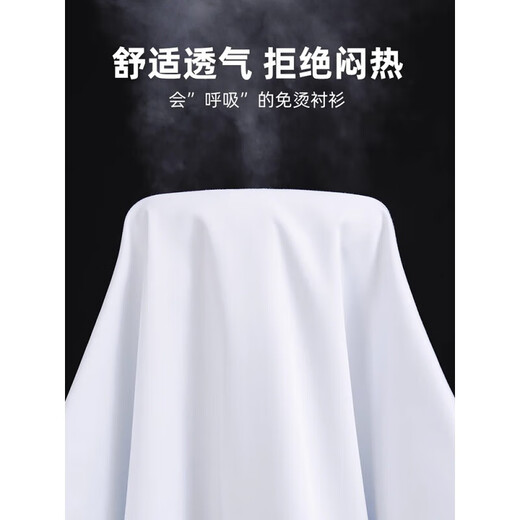 皮尔卡丹（pierre cardin）新疆棉免烫长袖白衬衫男春秋季新款中年商务正装条纹西装衬衣抗皱 6626【长袖】 40 【135-145斤】