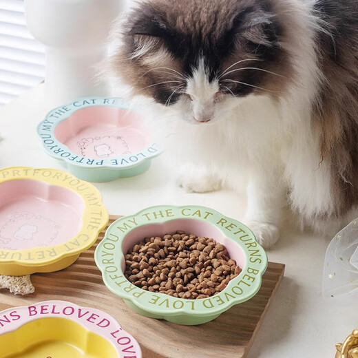Qi Oh Cat Bowl Ceramic Cat Food Bowl Cat Canned Bowl Plate Rice Bowl Drinking Water Bowl Pet Dog Bowl High Leg Neck Guard to Prevent Overturning Sea Salt Honey Tea Flower Plate + Wooden Bowl Rack. Cream