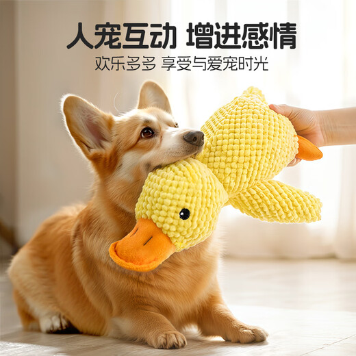 Qi Oh Dog Toy Resistant to Bite and Molars, Sound Toy for Medium and Large Dogs, Border Collie Corgi, Boredom Relief Artifact, Pet Supplies, Sound Toy, Charge Duck, Small Size 22*25cm