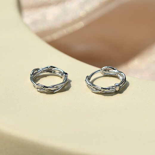 Nilan platinum earrings PT950 unique circle female sense light luxury niche design platinum earrings 2024 thorn earrings