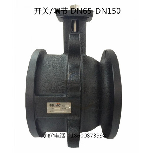 搏力谋R664AO 679 6099 R665AO电动开关调节两通法兰球阀水阀 R66 R679AO