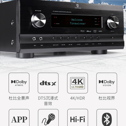 天逸（Winner）AT-2300PRO家用家庭影院全景声影K一体功放7.1声道KTV放大器多功能客厅功放机大功率放大器 AT-2300 PRO