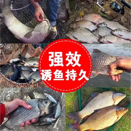 One pack of fish lures for all seasons, all-purpose fishy rub bait, wild fishing bait, black pit crucian carp, carp, grass carp kill bait, 3 packs, 98% customer choice