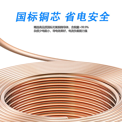 Guochao Wire and Cable YJV22-0.6/1KV-3*4+1*2.5 Copper core national standard armored buried 3+1 core power cable 1 meter [spot]