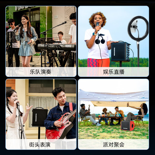 Desheng OD200 outdoor road singing audio live broadcast internal recording guitar playing karaoke high power musical instrument speaker OD200 black + TS-K302 wireless dual microphone