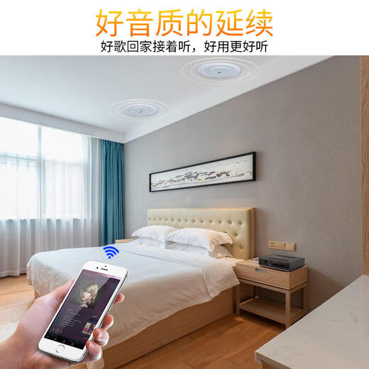 山水（SANSUI）SC21吸顶喇叭音响功放套装吊顶背景音乐公共广播定压天花商用会议店铺背景喇叭音箱系统 山水SC21 (8吋) *10+M500功放
