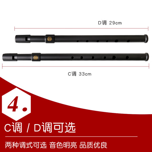 杉贝爱尔兰哨笛初学用成人入门C调D调锡笛亚光树脂磨砂6孔乐器 C调+D调+丰富+教材(套餐更划算)
