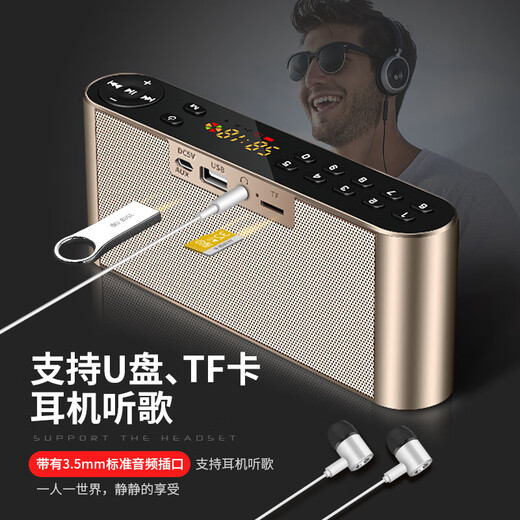 科凌蓝牙音响带收音机一体可插U盘能插卡优盘插耳机音箱家用迷你便携小型无线低音炮高音质大音量喇叭 黑色I多功能版I数字点歌版播放器