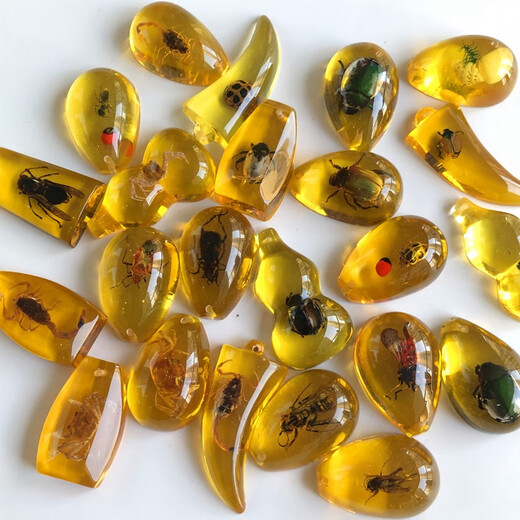 DL 1998 Fat Donglai quality amber insect specimens real insect amber children's excavation archaeological blind box insect amber accessories students gold amber scorpion 1