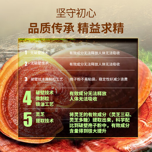 北芝堂破壁灵芝孢子粉长白山灵芝萃取三萜孢子油软胶囊增强免疫力保健品 破壁灵芝孢子粉250g（实惠装）