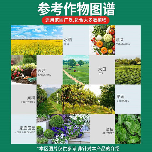 Xinxing 40 % Difenoconazol, Banane, Obstbäume, Gemüse und Blumen, weißes Pulver, Anthrax, Rost, schwarzer Fleck, Blattflecken, Pestizid, Fungizid