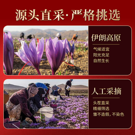 冬海红 藏红花礼盒 中秋节礼盒送老师礼物伊朗特产西红花礼品送妈妈礼物