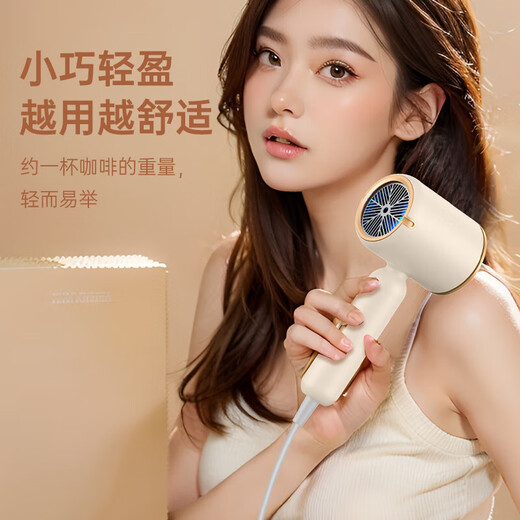 RURE Germany Negative Ion Care Hair Dryer Foldable Hair Dryer Home Light Sound High Power Negative Ions Does Not Hurt Hair Dormitory Students Portable Quick Drying Hair Dryer Top Model Blue Light Hair Care + 2 Billion Negative Ions + 2200W Khaki