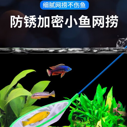 Complete collection of fish tank fishing nets, aquarium supplies, small fishing nets, fish net pockets, ornamental fish harvest nets, shrimp nets, small nets with random colors