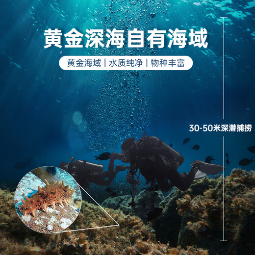Gongyi Dalian ready-to-eat sea cucumber 1Jin Jin is equal to 0.5 kg 15-25 pieces, solid content exceeds 75%, bottom-sown sea cucumber, fresh sea cucumber, no need to soak