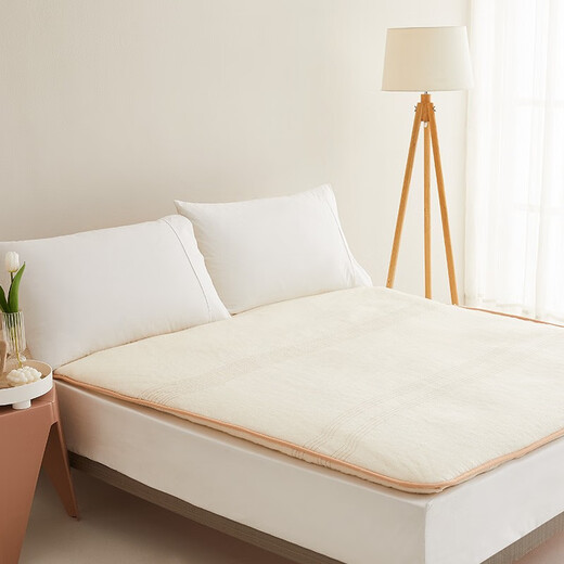 Dapu intérieur et extérieur un matelas en coton, matelas de pneu nu coton coton coton coton, pliage chaud à double ménage épaissis, matelas en coton nu (pneu de matelas en coton) 150x200cm rempli 5 Jin [Jin est égal à 0,5 kg]