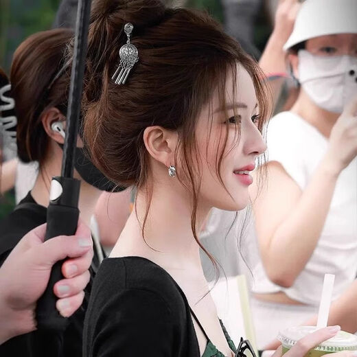 Fantiya Ruth's same style tassel hairpin for women retro ethnic style rocking tassel hairpin new Chinese style hairpin 15.2cm Zhao Lusi's same style Miao Jiang tassel