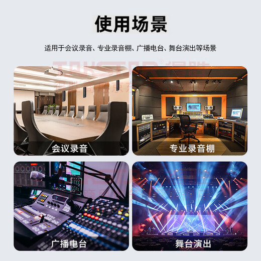 TAKSTAR SM-18 PRO condenser microphone live broadcast microphone condenser microphone instrument recording professional recording singing K studio stage performance 1 black