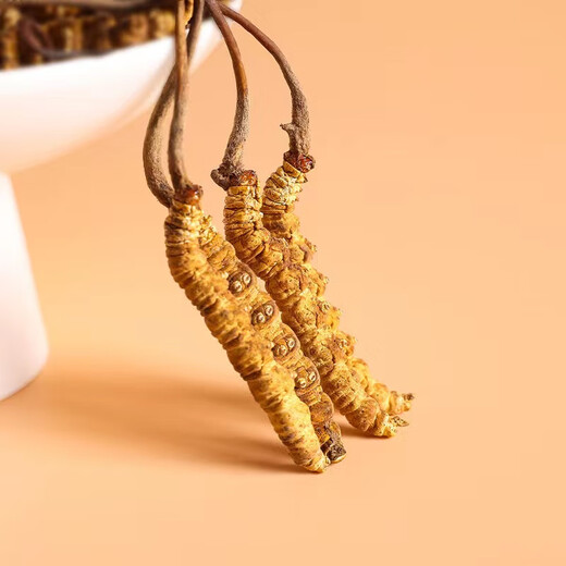 
[Good nourishment certification] Yongguangtang Cordyceps sinensis, Tibetan Nagqu Cordyceps 2 roots/g New hay Cordyceps gifts and nourishing products, elders and parents 200g [50g*4 boxes] Gift box-2 roots/g