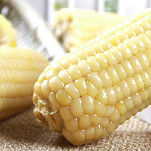 Tong Chuang Northeast White Waxy Corn on the Cob Fresh Sweet Waxy Corn on the Cob Meal Replacement Light Food Vacuum Packaging Sticky Corn Northeast White Waxy Corn Net Weight 250g*10 Cobs/Box