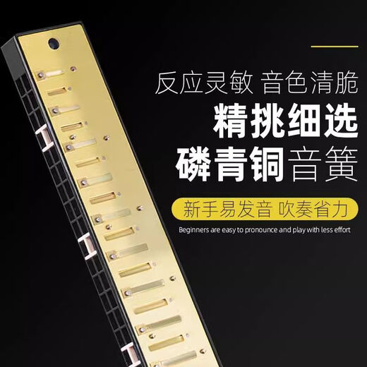 Guoguang harmonica 24-hole polyphonic C-tune accent classroom beginners students and children’s entrance organ playing instrument [Pure silver] 24-hole polyphonic C-tune + full set of gift packs