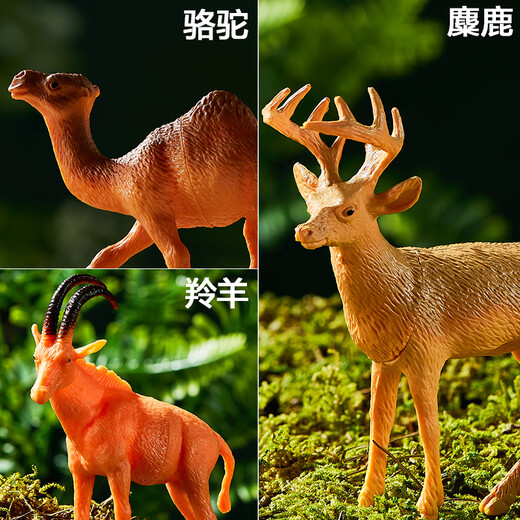 Wild Knight Children's Toys Animal World Boys Puzzle Soft Glue Simulation Model Set Storage Box 52 Birthday Gifts
