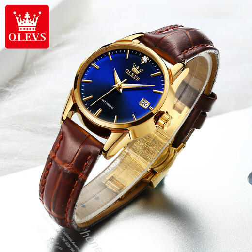 Oleeis Olevs Schweiz zertifiziert Top Ten berühmten Uhren für Männer vollautomatische mechanische Uhren leuchtende wasserdichte Herrenuhren für den Freund Brown Leder Blue Face - Upgrade Collector's Version 6629 Frauen [lebenslange Garantie]