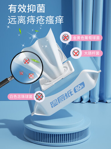 Shantou Lincun Butt Wipe Wet Wipes Men's Wet Toilet Paper Family Affordable Butt Wipe Special Toilet Flushable Biodegradable Hygienic 1 Pack 1 Pack