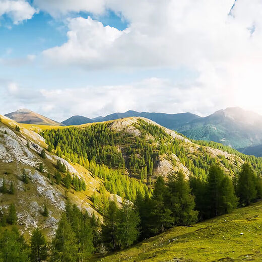 Garkoko Little Moon Teething Stick for Baby Teething Stick to Prevent Eating during Teething Period Crescent Moon Soft