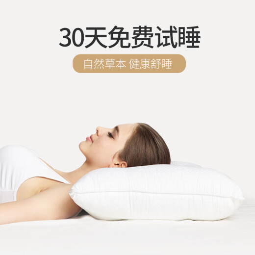 Dr. Sleep (AiSleep) Pillow Core Pillow Cassia Seed Buckwheat Pillow Comfortable Sleep Hotel Pillow