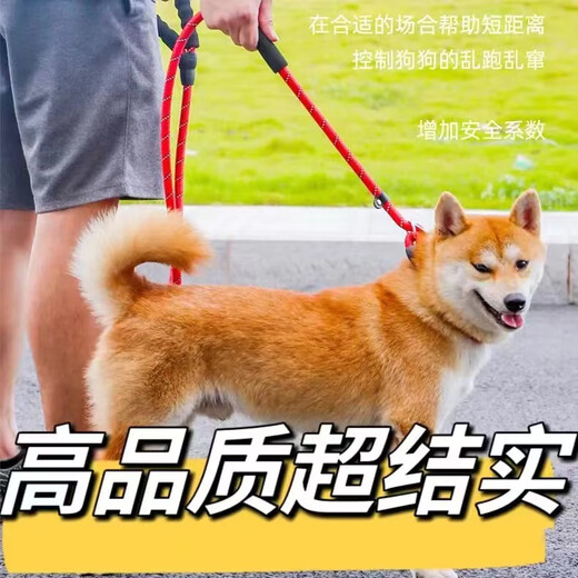 Dog leash explosion-proof p-chain Golden Retriever Teddy adjustable dog leash small, medium and large dog walking leash 1.2cm (large dogs) dark black 3 meters