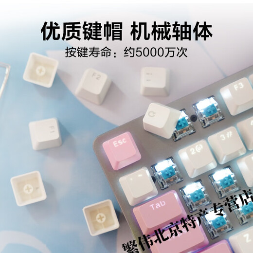 罗技（Logitech）K845有线机械键盘 青红茶轴电脑电竞游戏打字办公PBT客制键帽电竞游戏急停机械键盘 罗技K845-【黄白键帽】+罗技大桌垫 青轴-【打字办公选择】 x 否 x 104键 x
