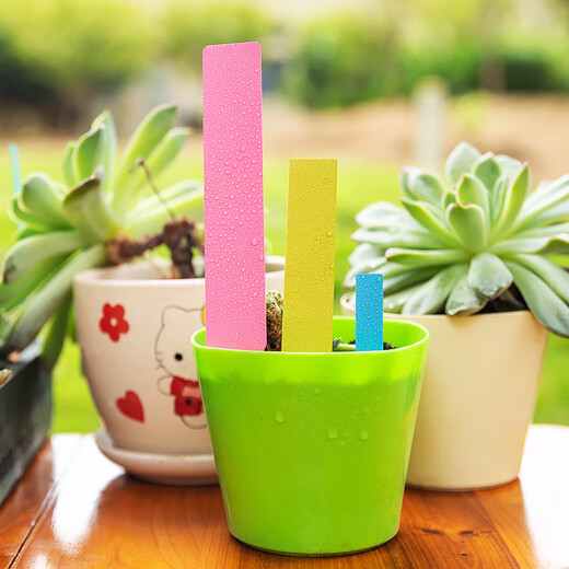 Benxinnong garden succulent plant plastic ground sign one-line label flower succulent gardening ground sign 25x3 (white) 100 sheets