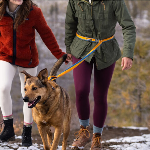 Lovewell Roman Leash Telescopic Hand Leash Waist Dog Leash Explosion-proof Dog Leash Small and Medium-sized Dog Leash Coral Orange L (2.2-3.4m)