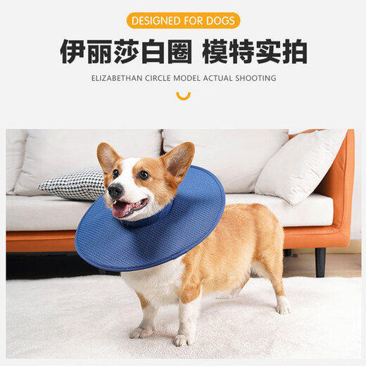 LOVINGPET (LOVINGPET) Elizabethan collar for dogs, anti-licking collar, large dog Elizabethan collar, deepened dog Elizabethan collar, dark blue L, diameter 44cm, neck circumference 50cm