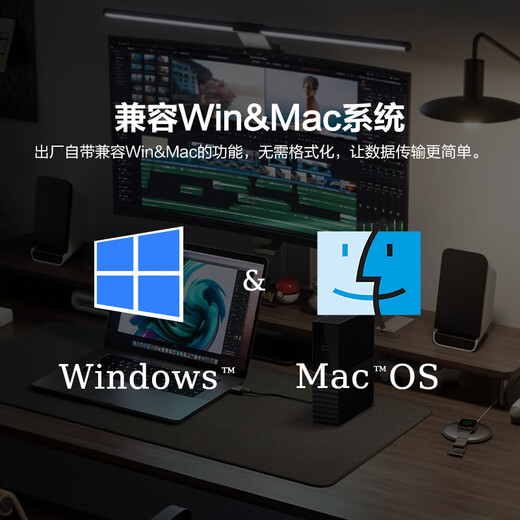 西部数据（WD）14TB 移动硬盘 USB3.0 桌面存储 My Book 3.5英寸 大容量 机械硬盘 移动台式企业级办公 外接加密