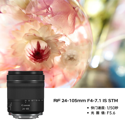 Canon r5 professional mirrorless camera, bird shooting equipment, digital camera, eos r5 full-frame Vlog camera, 8K video shooting, place an order for Labubu & Jindou R5 disassembled body + RF 24-105 STM disassembled lens, official standard configuration, does not include memory card, camera bag, recommended purchase package