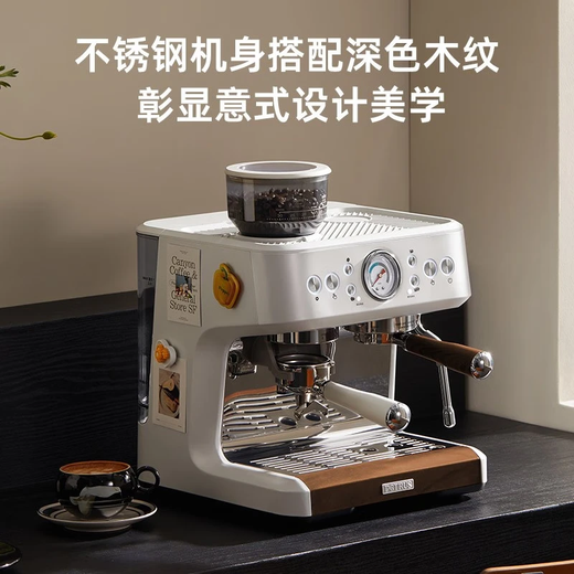 柏翠意式咖啡机家商用全半自动研磨一体机小型奶泡机双泵双炉 PE3899 送礼 星光海盐白