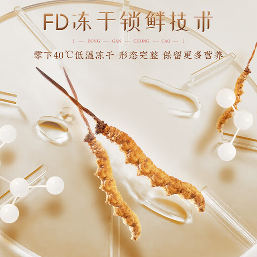 Подарочная коробка Hu Qingyutang Cordyceps, земля № 32# Высококачественные тибельные замораживаемые Cordyceps, праздничные подарки для родителей и старейшин, подарочная коробка 10G, 32# [Обновление]