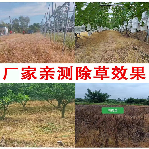 100 % Tigeressenz, Glufosinat-Ammoniumphosphat, echtes Herbizid, Spermaglufosinat, Glufosinat-Ammoniumphosphat, Obstgarten-Herbizid, Pestizid, 5 kg