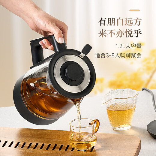 OUMETE constant temperature tea kettle, tea kettle, spray steam tea kettle, health pot, glass thermal insulation tea kettle OMT-PC1051 (dual network)