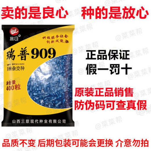 Nationally approved Rip 909 red shaft big cob corn seed, high yield, short stem, lodging resistance, disease resistance, drought resistance, wholesale corn, 4400 grains per acre, Song high yield seed dressing, improved version Rip 909 guaranteed