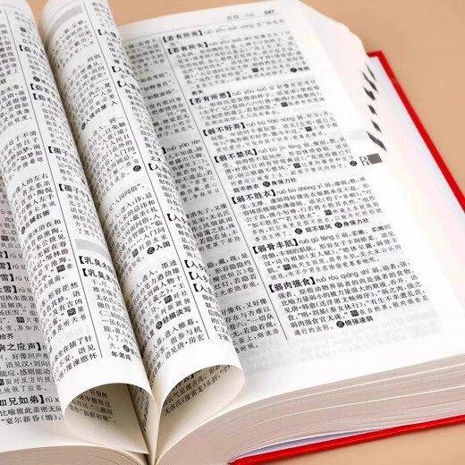 中华成语大词典（红色） 现代汉语词字典高中常用小学生初高中单色本现代汉语成语全多功能工具书成语词典书