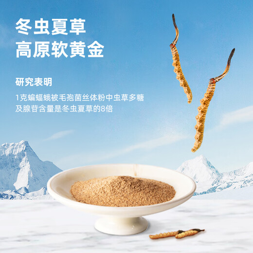 柏瓴华东医药百令冬虫夏草茶 菌粉增强免疫力 养生茶强肾身肺保健茶饮 1盒【10天升级养护】