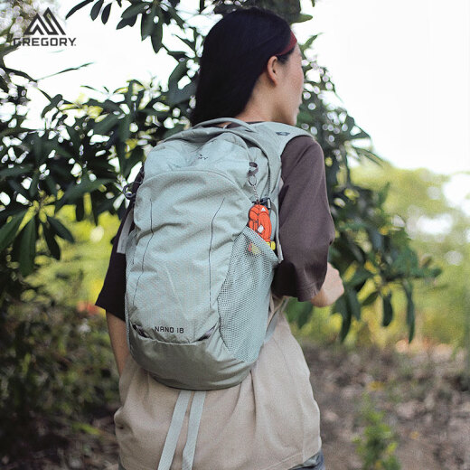 GREGORY格里高利 NANO蜂鸟 男女旅行户外徒步背包登山包通勤双肩背包18L 18L-银绿色