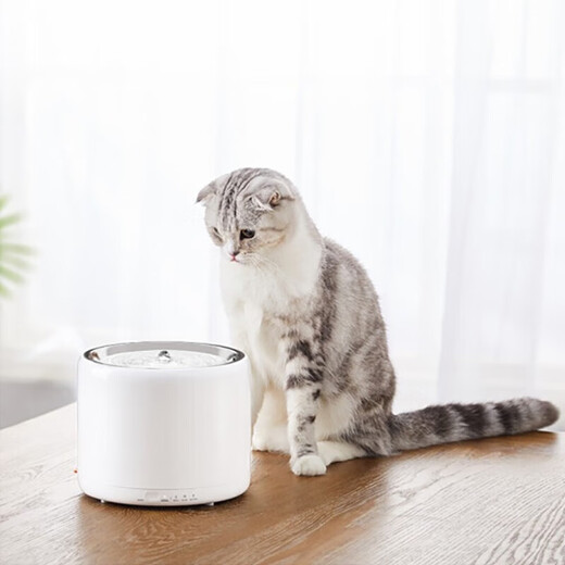 Xiaopei PETKIT fully automatic cat litter box smart electric cat litter box automatic cat toilet automatic cat litter machine poop shovel machine cat toilet feeder water dispenser set