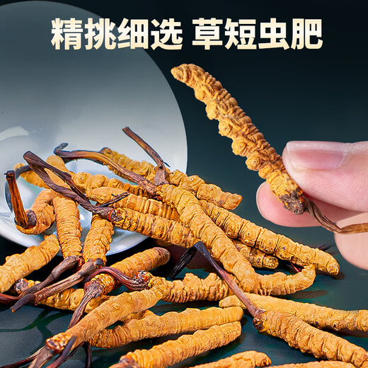 Tongfu Cordyceps sinensis 2 Wurzeln/g 50g etwa 100 Wurzeln Geschenkboxen, nahrhafte Nahrungsergänzungsmittel, Geschenke für Älteste