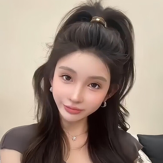 Danqin high ponytail hair rope for girls 2025 new style rubber band to tie hair, high elasticity and durable hair ring, adult hair rope leather case, old money style hair rope (10 mixed colors)