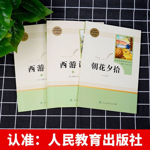 El primer volumen del séptimo grado, el viaje de trabajo original de Lu Xun a Occidente es completo, sin censura, debe leer para jóvenes, versión de educación de personas, estudiantes de secundaria de secundaria leen libros famosos, libros extracúriculares, lectura obligada para estudiantes de secundaria, editor de educación de personas, libros de lectura china, educación completa, educación de personas [724 páginas en total] Genuine Spot Spot.